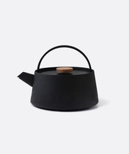 Iron kettle nambu tekki